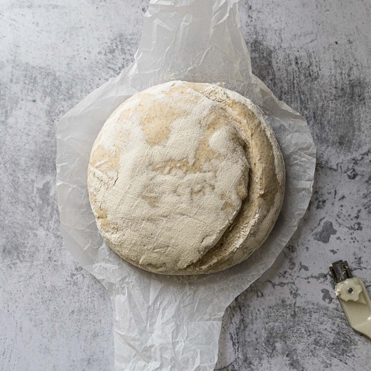 Scored country bread loaf before baking.