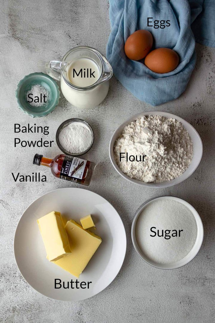 Lamingtons-ystervarkies-Sponge-Ingredients