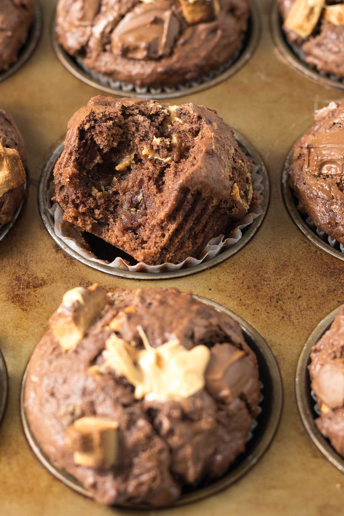 Close up of a triple chocolate muffin with a bite out.