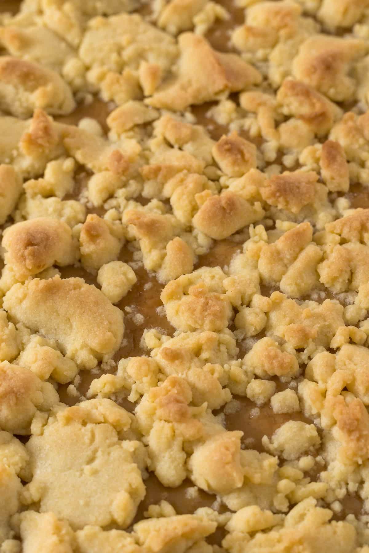 Close up of a baked tan slice before being cut into squares.