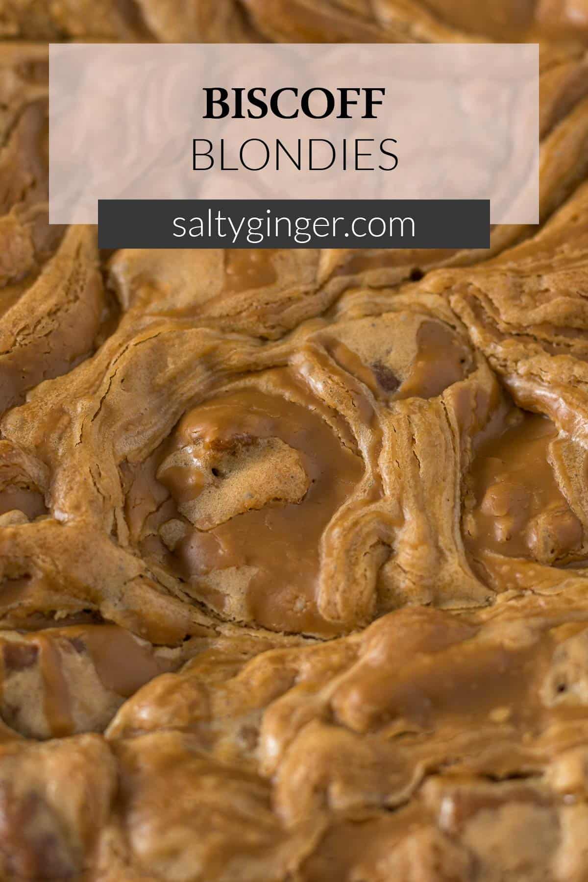 Pin - Close up of the Biscoff swirl through the blondie.