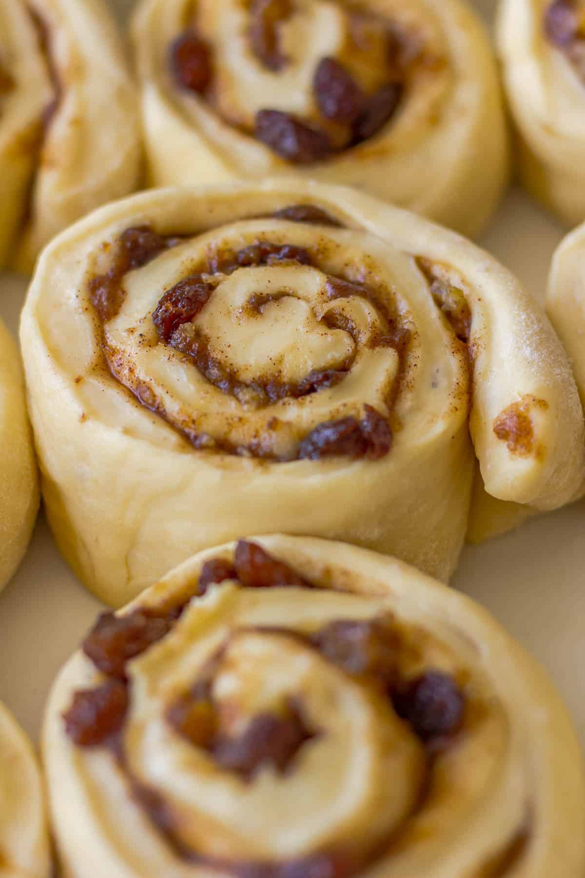 Unbaked Chelsea rolls in a baking dish.