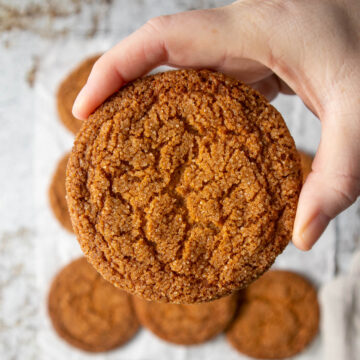 Hand holding a ginger snap.