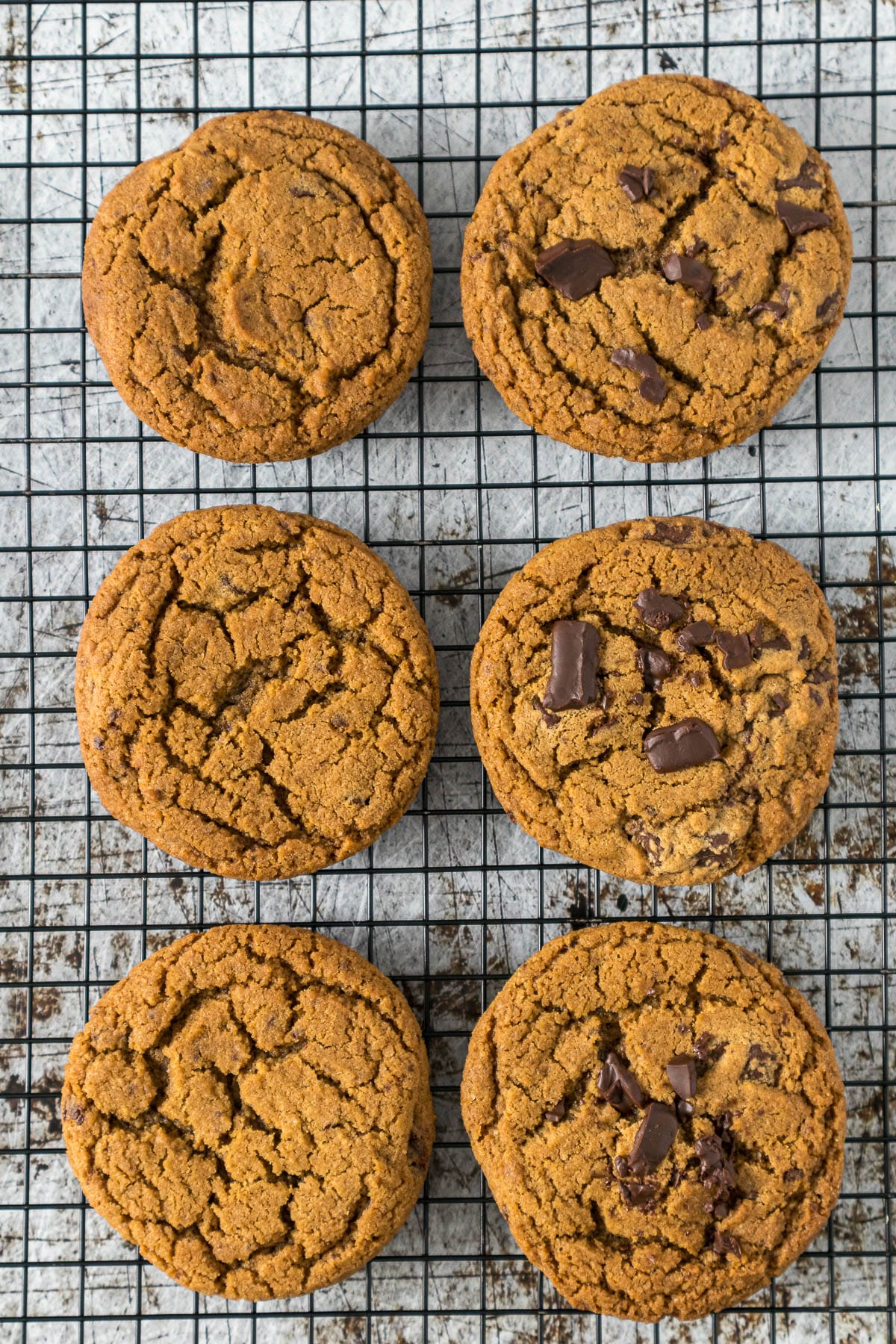 Coffee cookies with and without extra chocolate placed on the top to show the difference in how the final cookie looks.