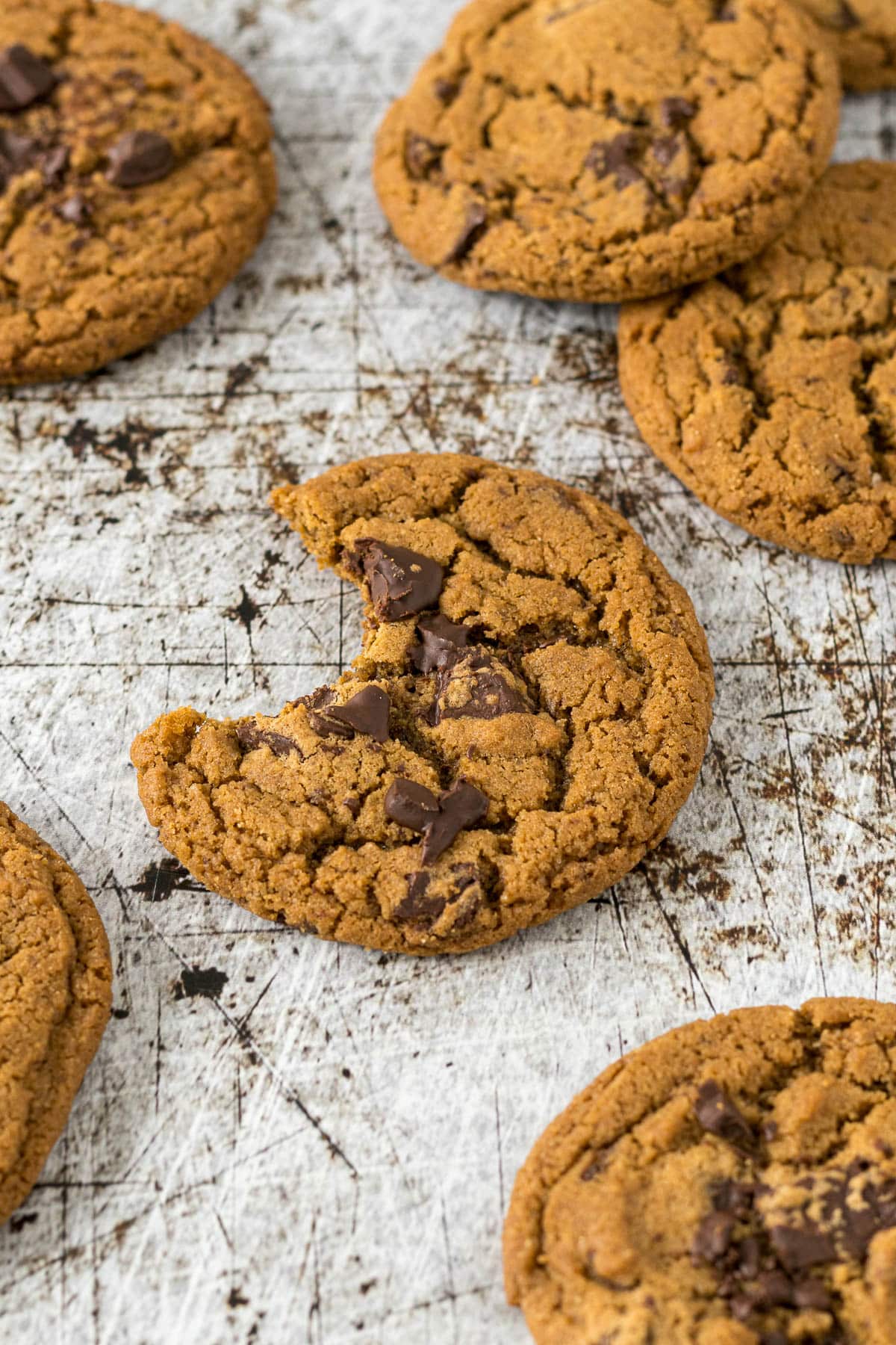 A coffee cookie topped with chocolate chunks with a bite taken out of it.