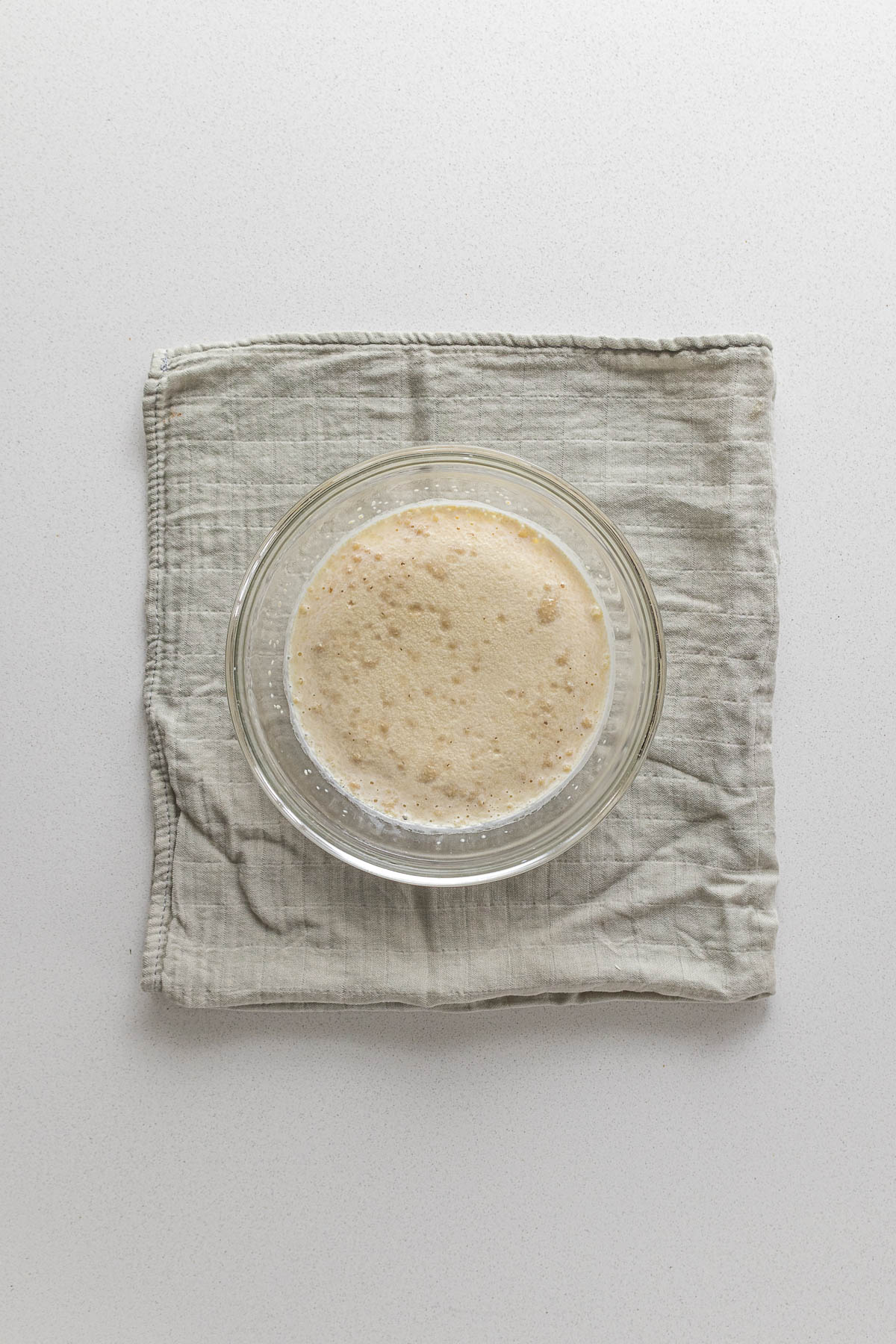 Step 1 - Active yeast that has been hydrate, and activated in warm milk and sugar.