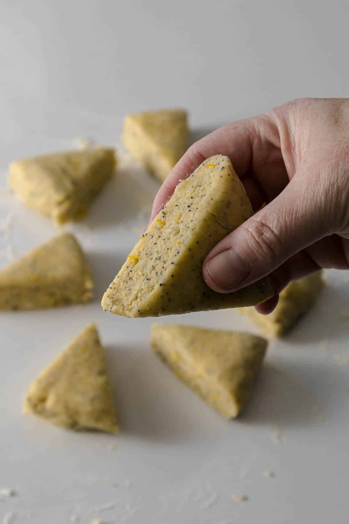 Step 8 - Scone dough cut into wedges and held to shown the layers within the dough.