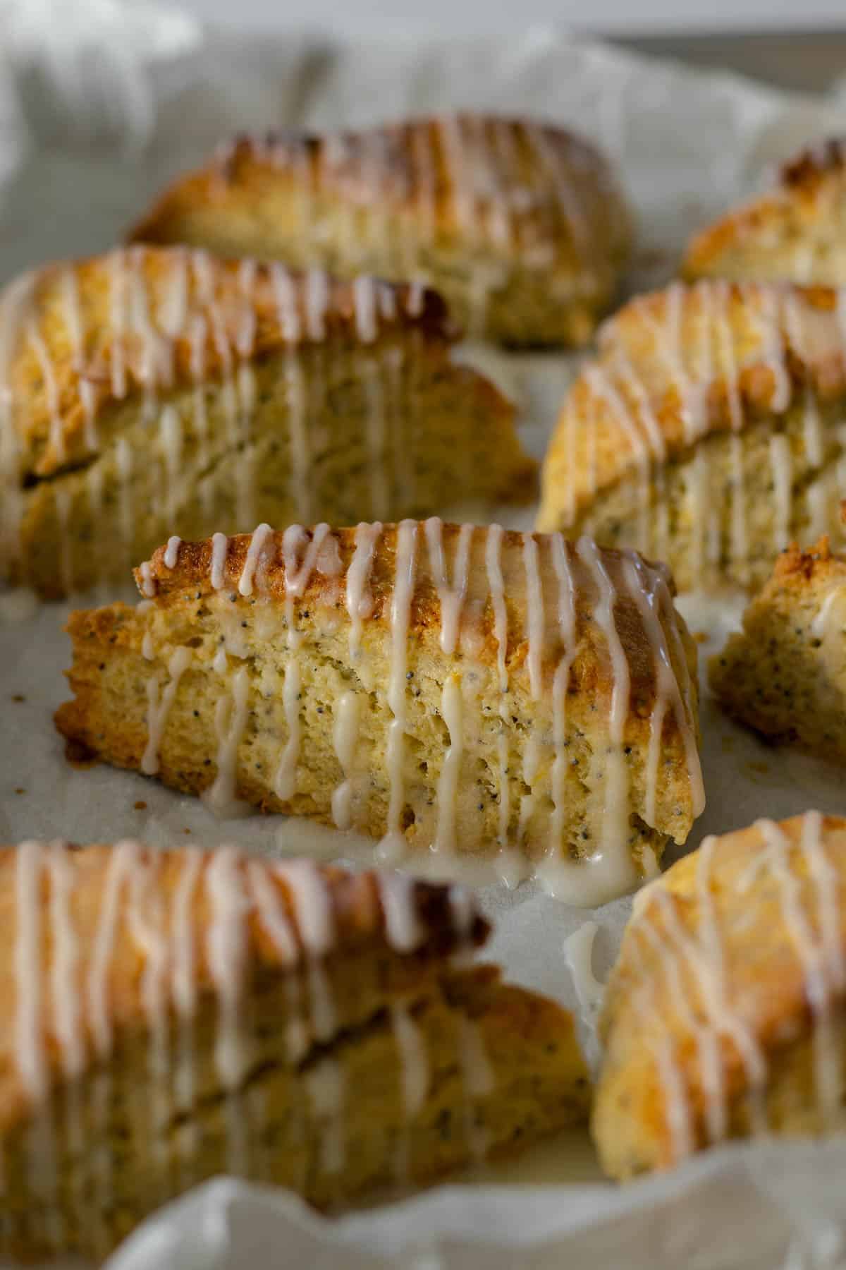 Lemon poppy seed scones with a lemon glaze on the baking sheet line with parchment paper.